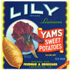 Lily Brand Vintage Lafayette Louisiana Yam Crate Label